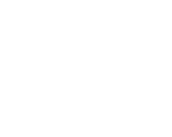 METZELER