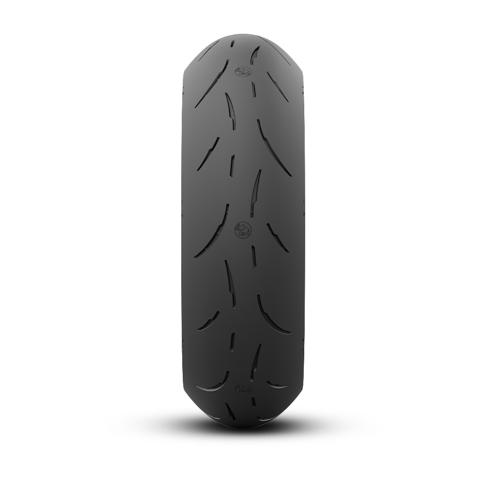 Metzeler Sportec 01 RS - immagine 2